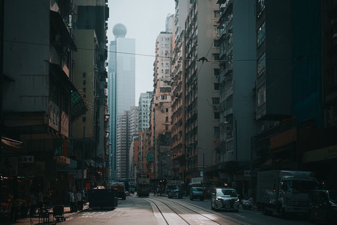 联合国大会通过加强与上合组织合作的决议